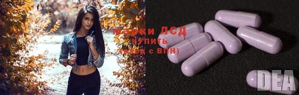 дживик Покачи